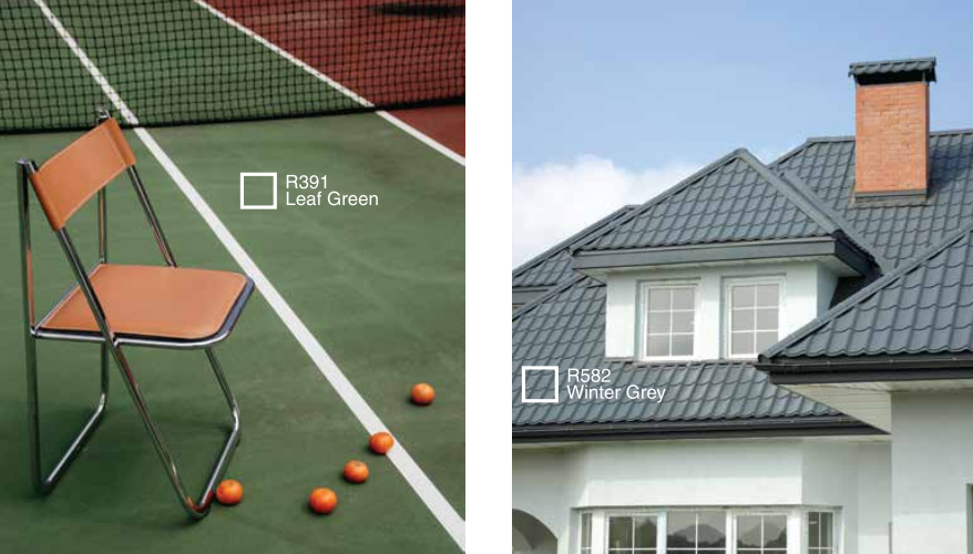 Cat Genteng Jotaroof